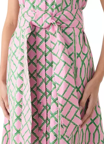 Chic Spring Printed Shirt Dress