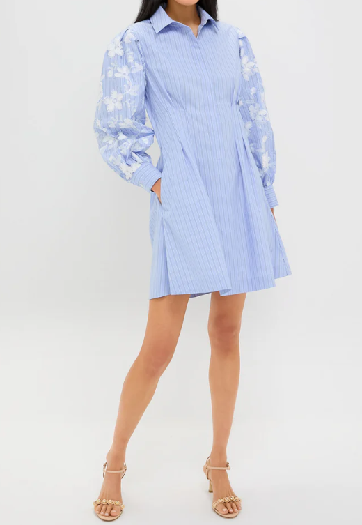 The Striped Casual Shirt Dress